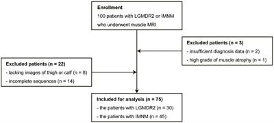 Machine learning-based radiomics to differentiate immune-mediated necrotizing myopathy from limb-girdle muscular dystrophy R2 using MRI